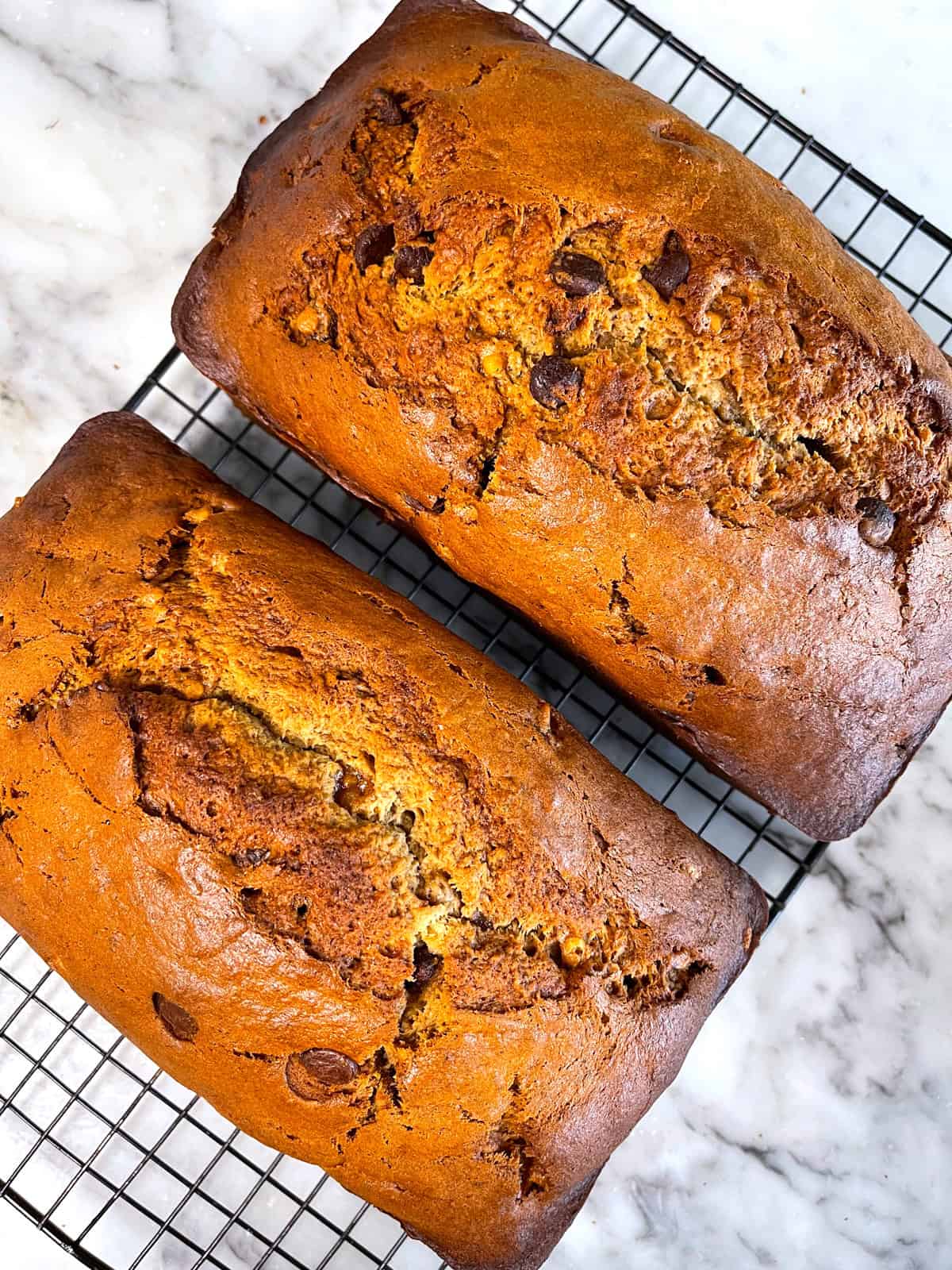 sourdough banana bread recipe best long ferment discard chocolate chip butterscotch peanut butter