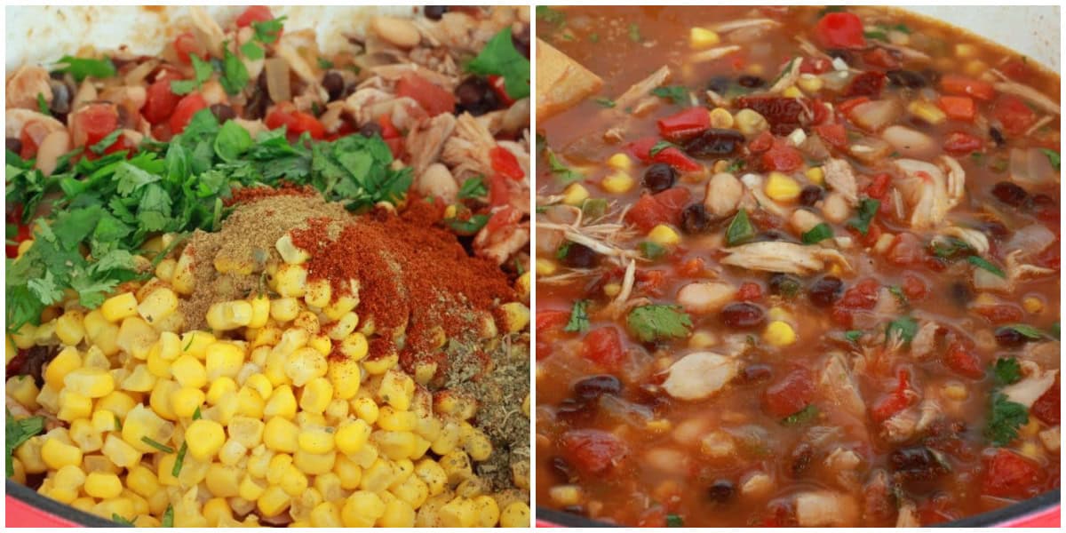 south of the border soup recipe chicken black beans corn smoky mexican