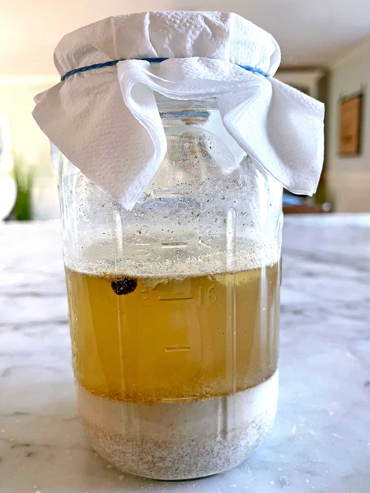 zakwas na zurek recipe homemade how to make traditional Polish sour rye flour starter fermented garlic bay leaf allspice easy zytni