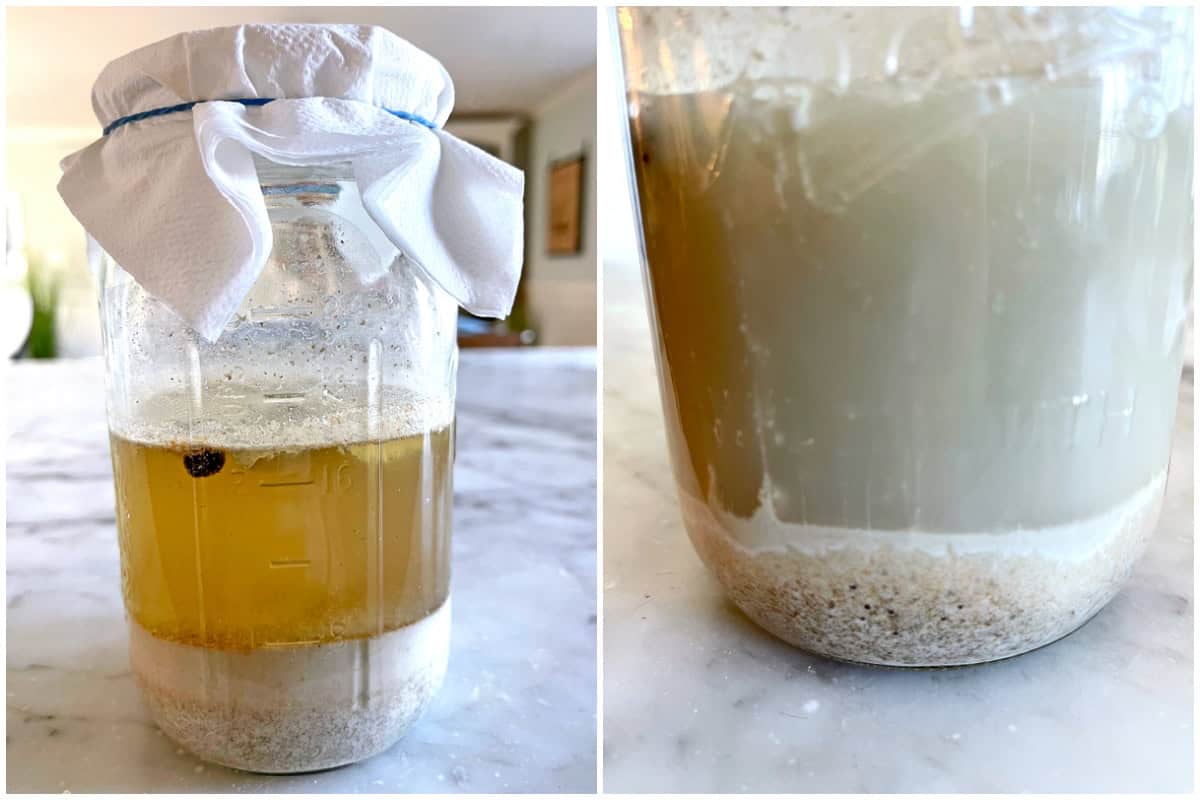 zakwas na zurek recipe homemade how to make traditional Polish sour rye flour starter fermented garlic bay leaf allspice easy zytni