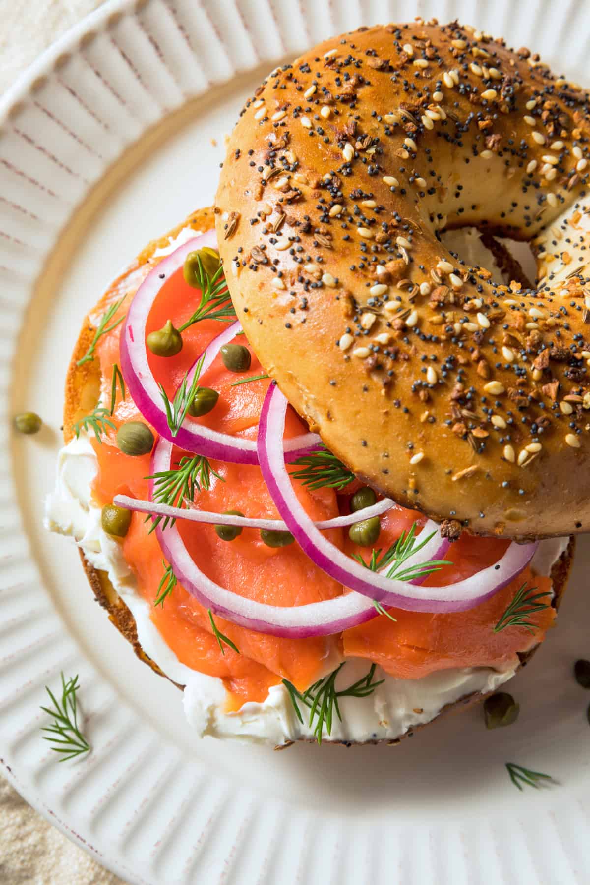 gravlax recipe homemade cured salmon lox swedish best easy traditional authentic dill