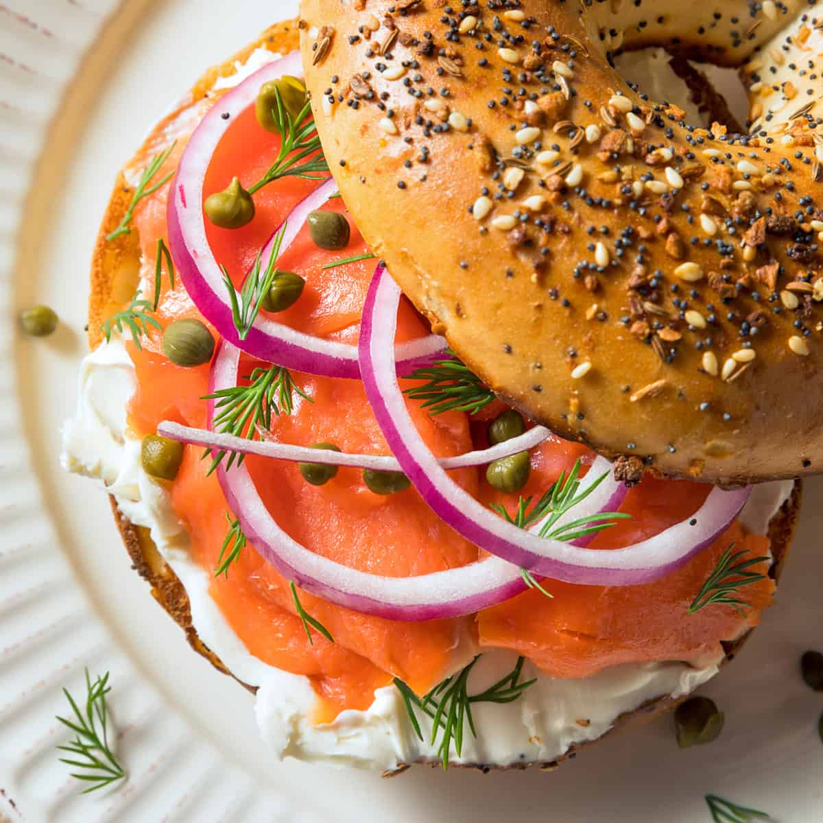 gravlax recipe homemade cured salmon lox swedish best easy traditional authentic dill