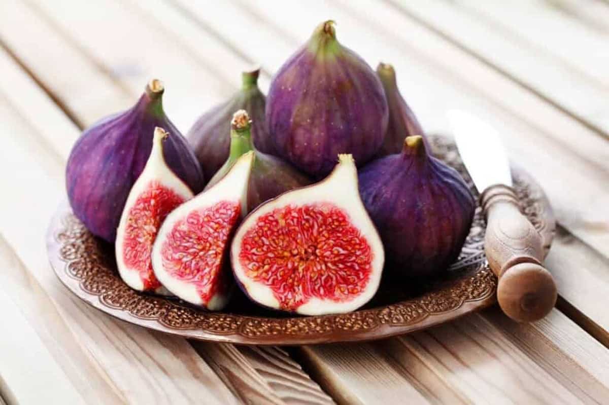 fresh figs