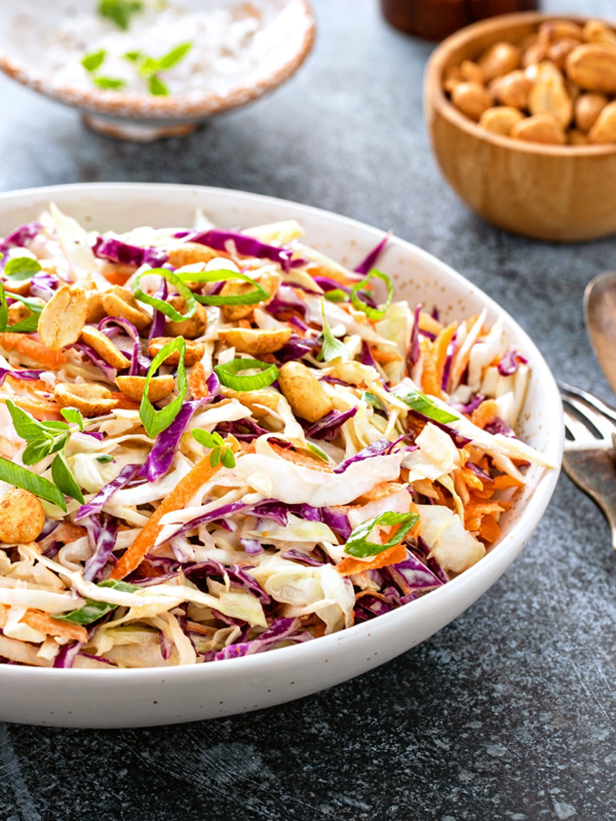asian slaw recipe best coleslaw dressing sesame oil soy sauce crunchy easy restaurant creamy mayonnaise