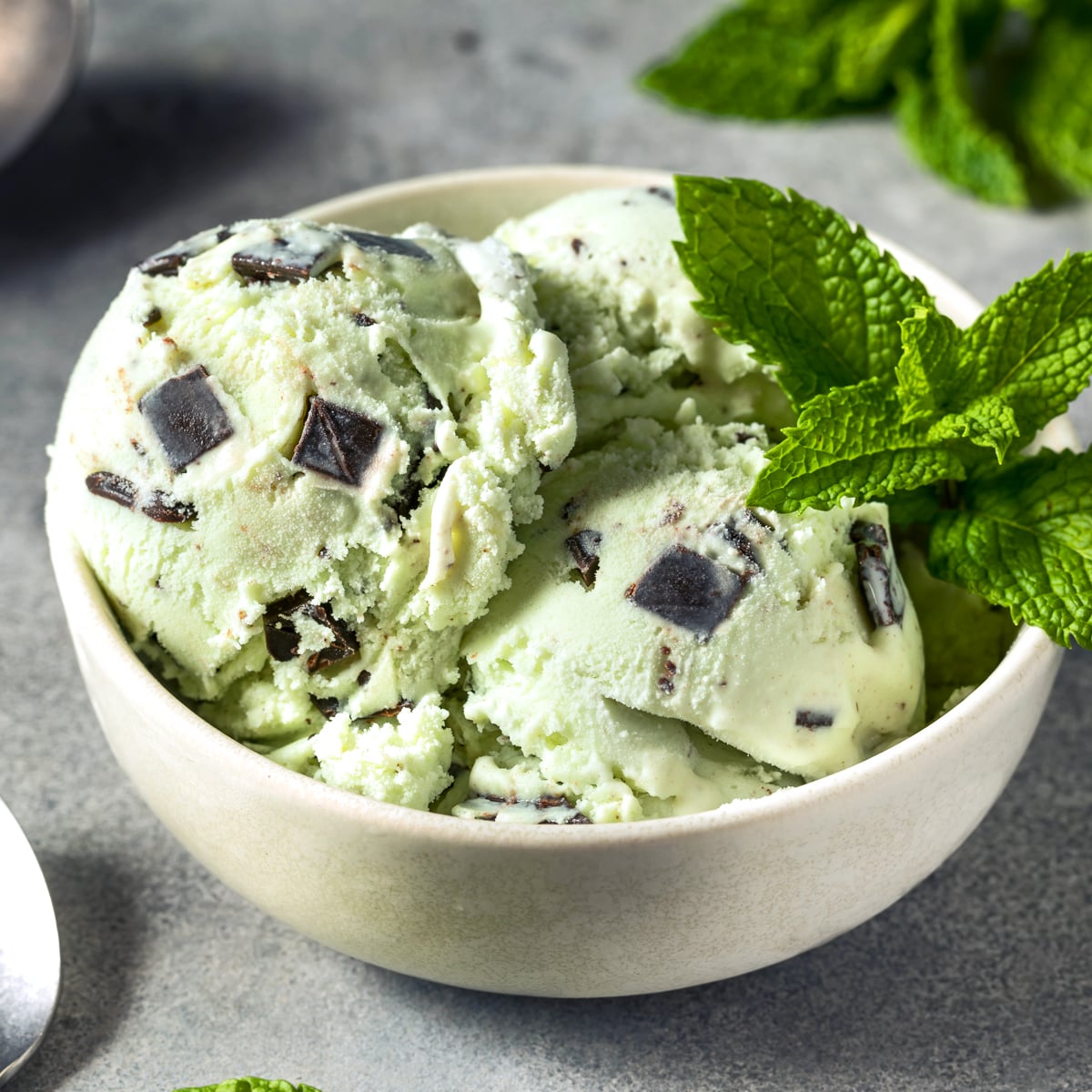 mint chocolate chip ice cream recipe best easy no egg yolks oreo without food coloring natural