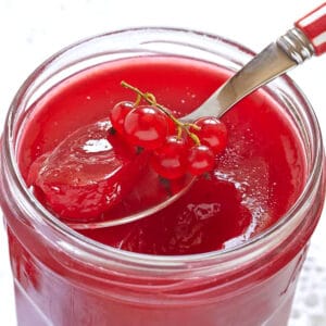 red currant jelly recipe homemade jam best easy traditional english british german french