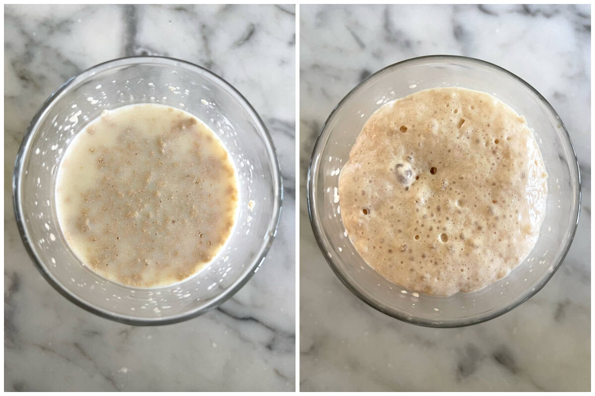 yeast and milk in cup