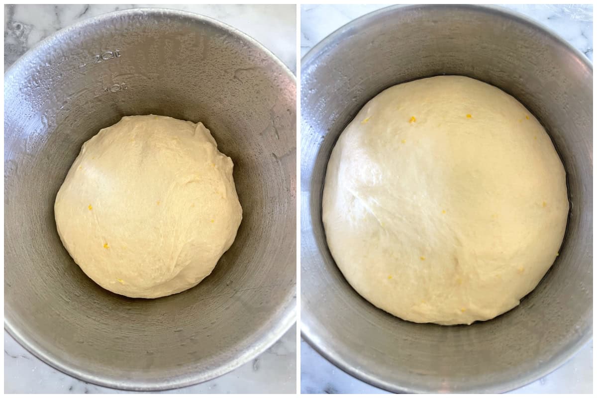 dough ball doubling in size in bowl