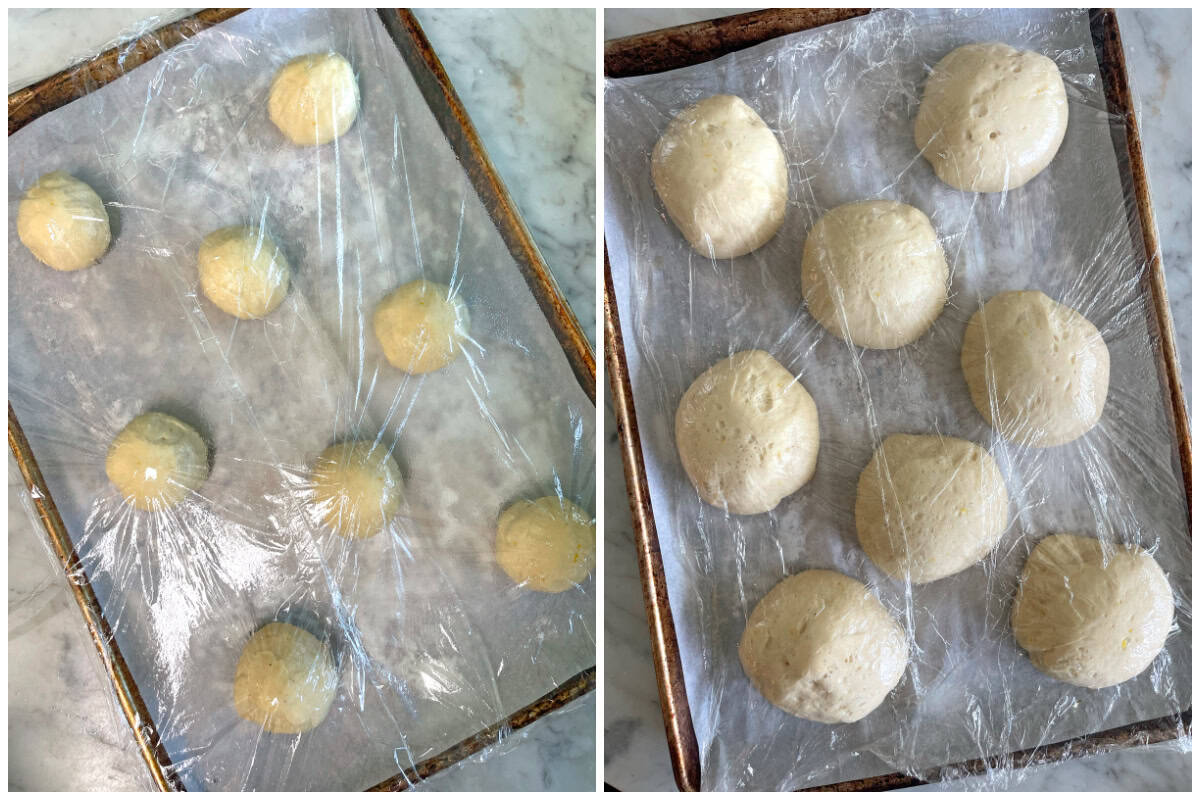 letting the dough balls rise